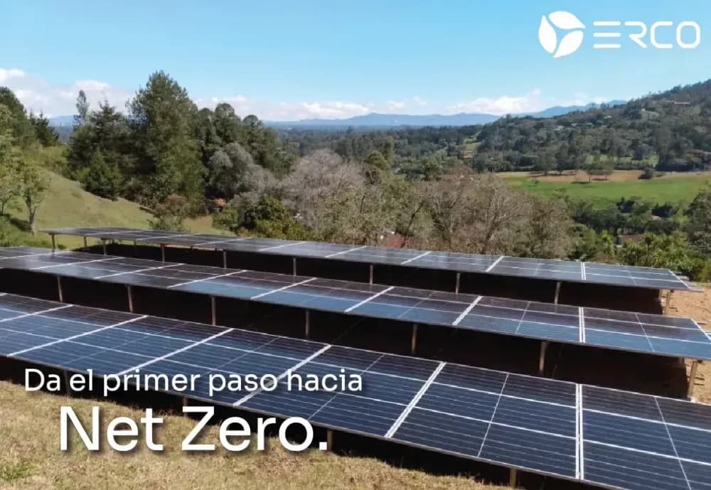 ¿Qué es ser Net Zero y cómo alcanzarlo?