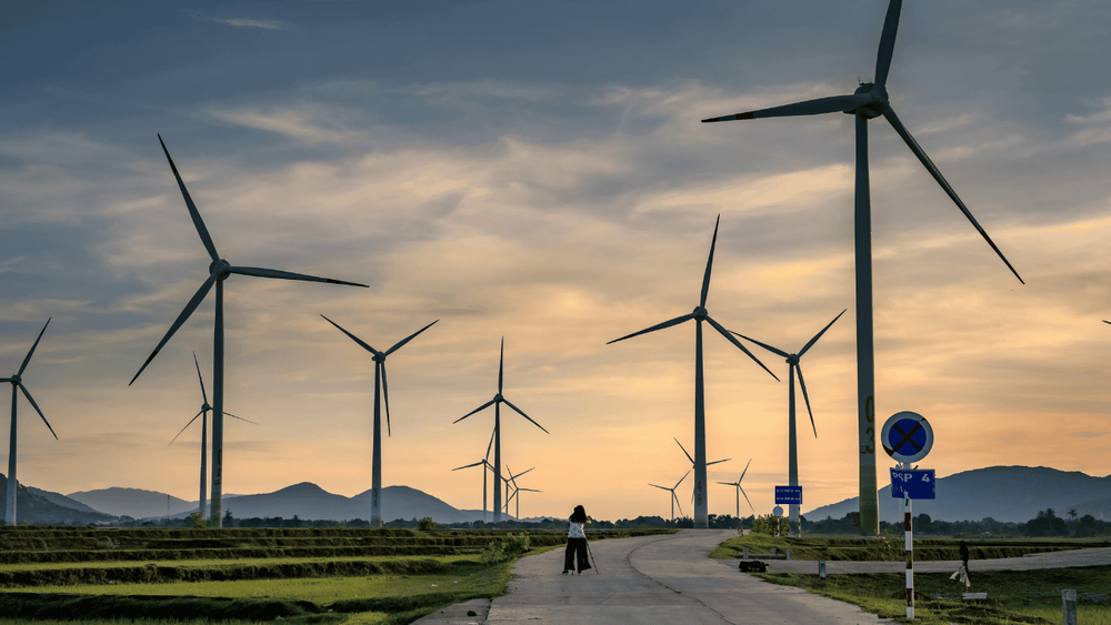 Vai renovar seu contrato no Mercado Livre de Energia?