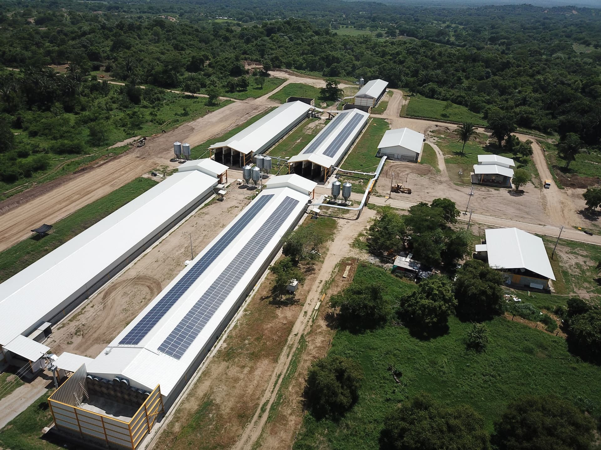 Energía Solar: la apuesta ambiental para tu empresa
