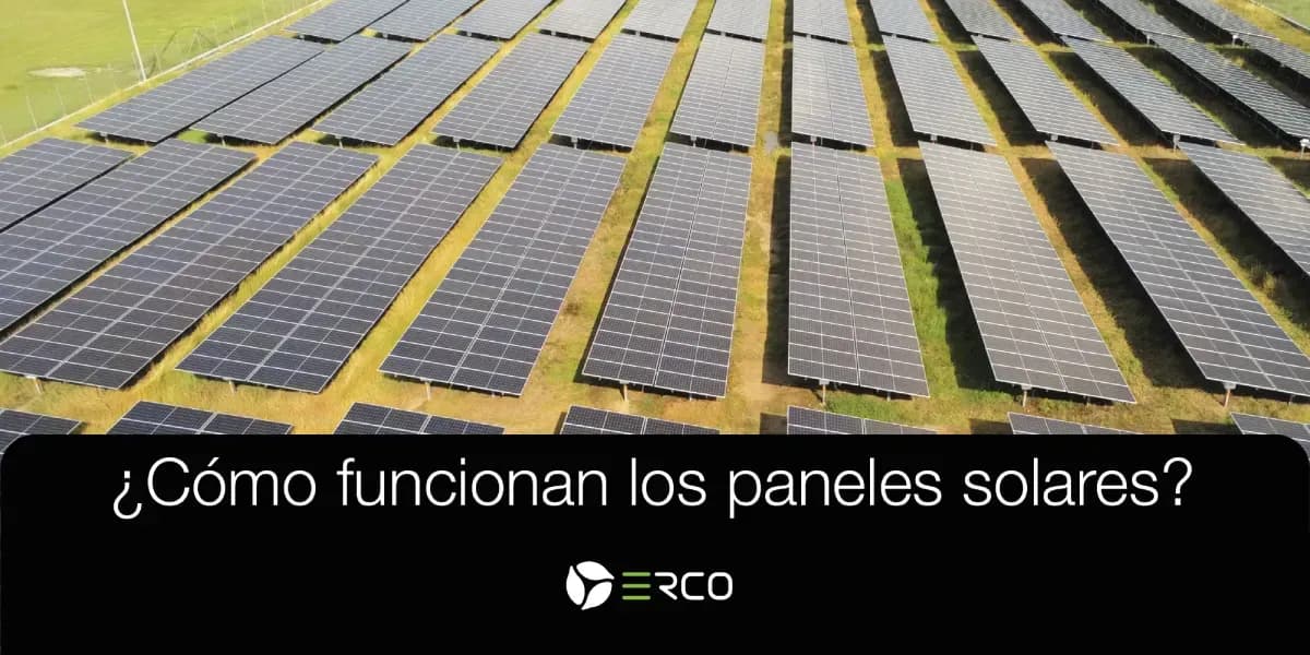 ¿Cómo funcionan los paneles solares?