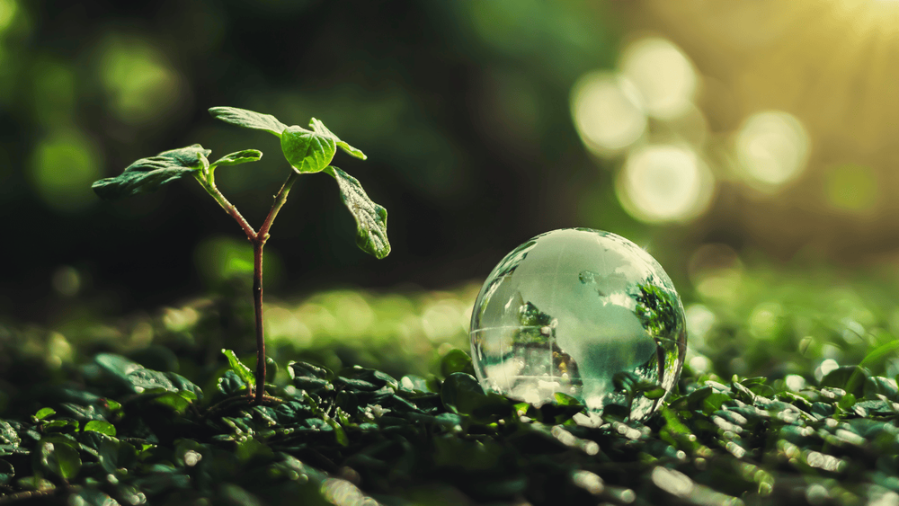 I-RECs: O caminho simples e eficiente para empresas que querem se destacar em sustentabilidade